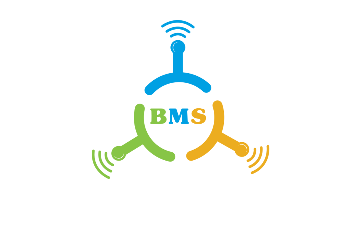 bmsolution